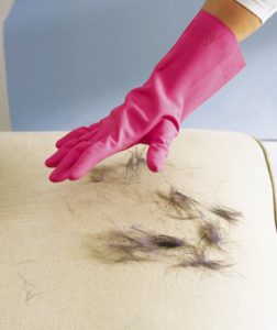 remover pêlos de animais do tecido do sofá